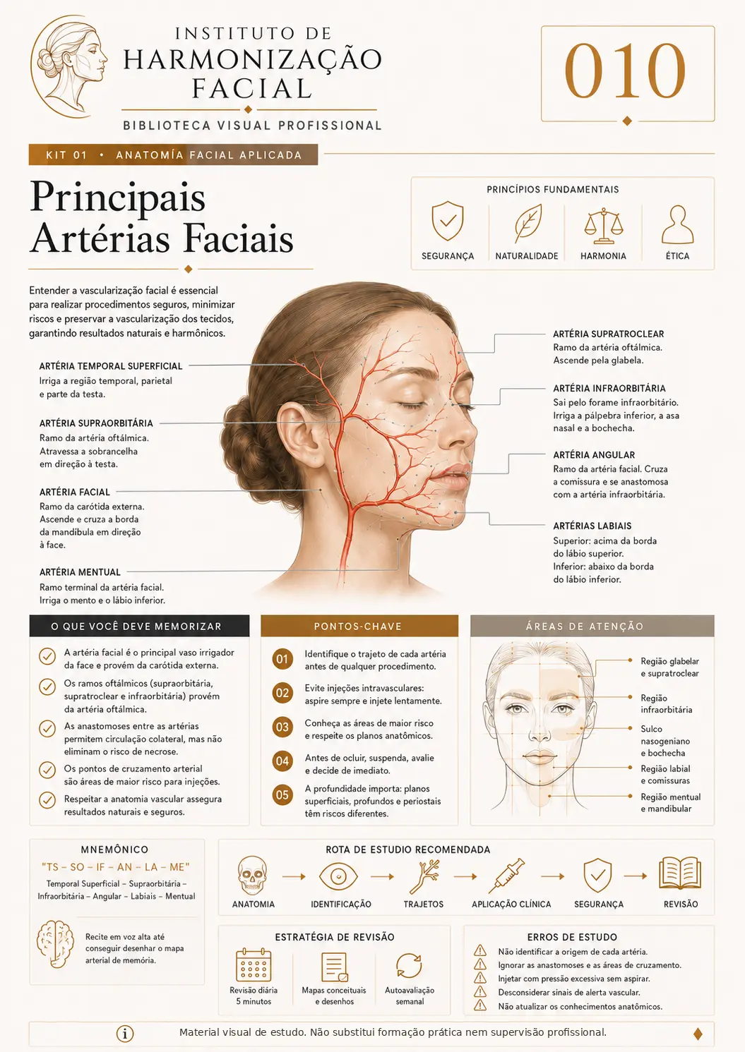 Mapa visual de estudo: Principais artérias faciais