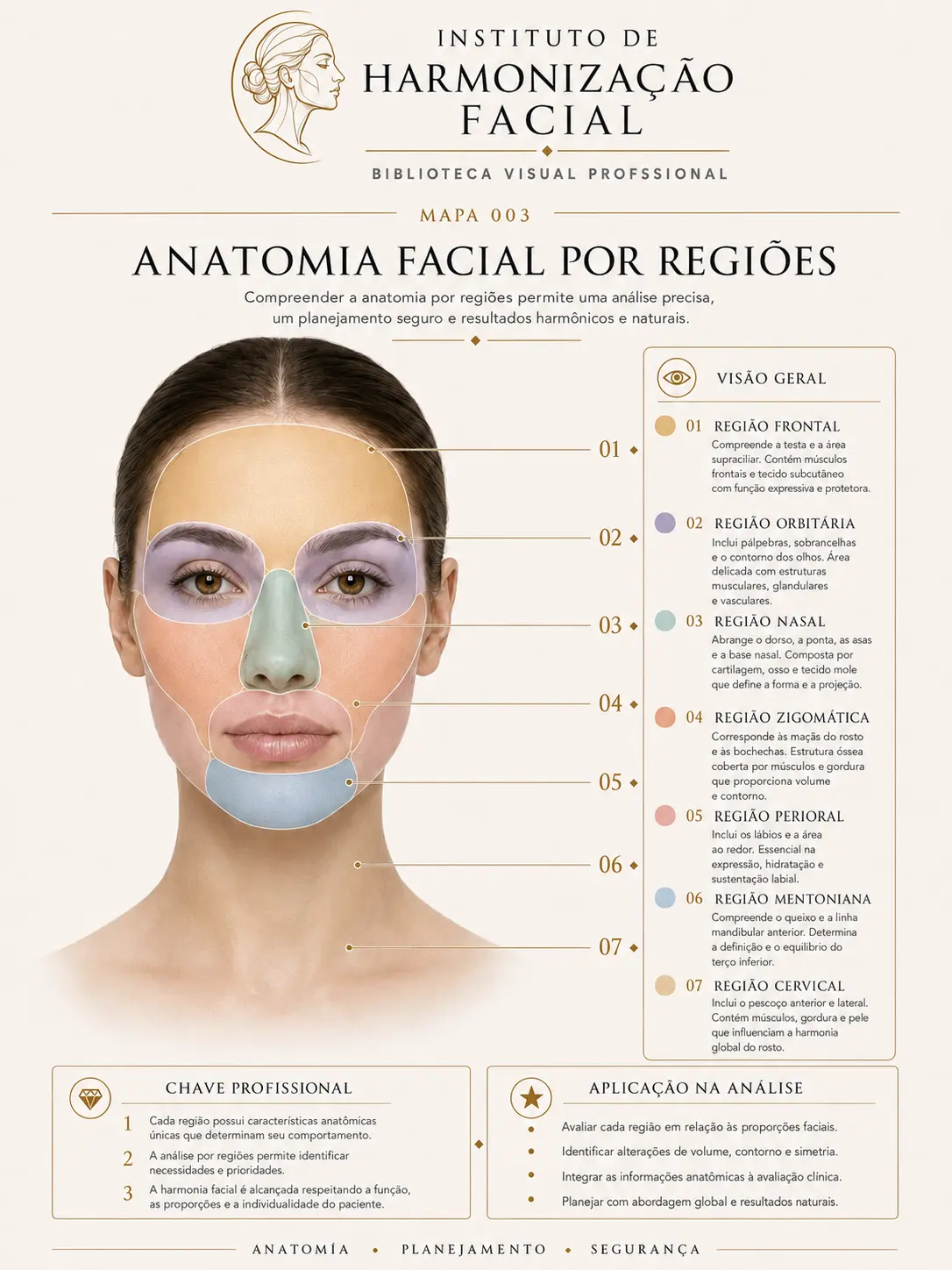 Mapa visual de harmonização facial: Anatomia facial por regiões