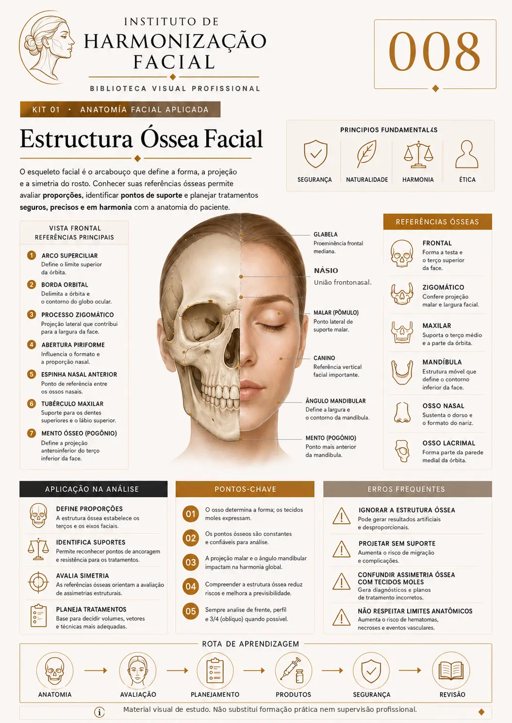 Mapa visual de estudo: Estrutura óssea facial