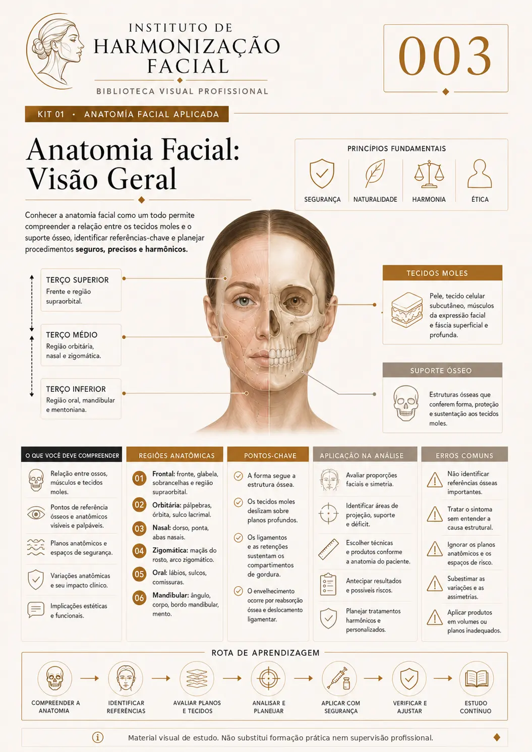 Mapa visual de estudo: Anatomia facial: visão geral