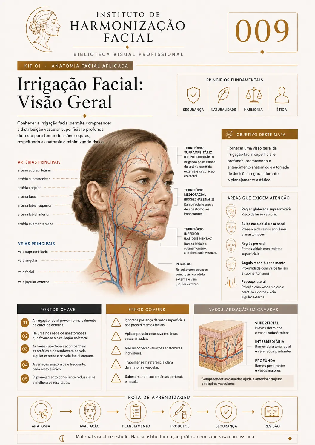 Mapa visual de estudo: Irrigação facial: visão geral