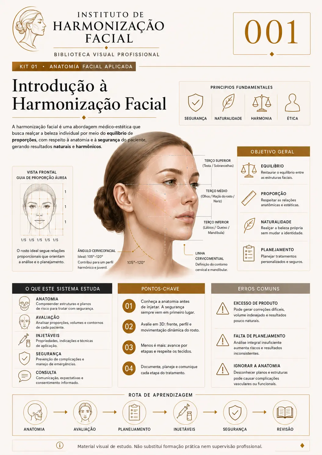 Mapa visual de estudo: Introdução à harmonização facial