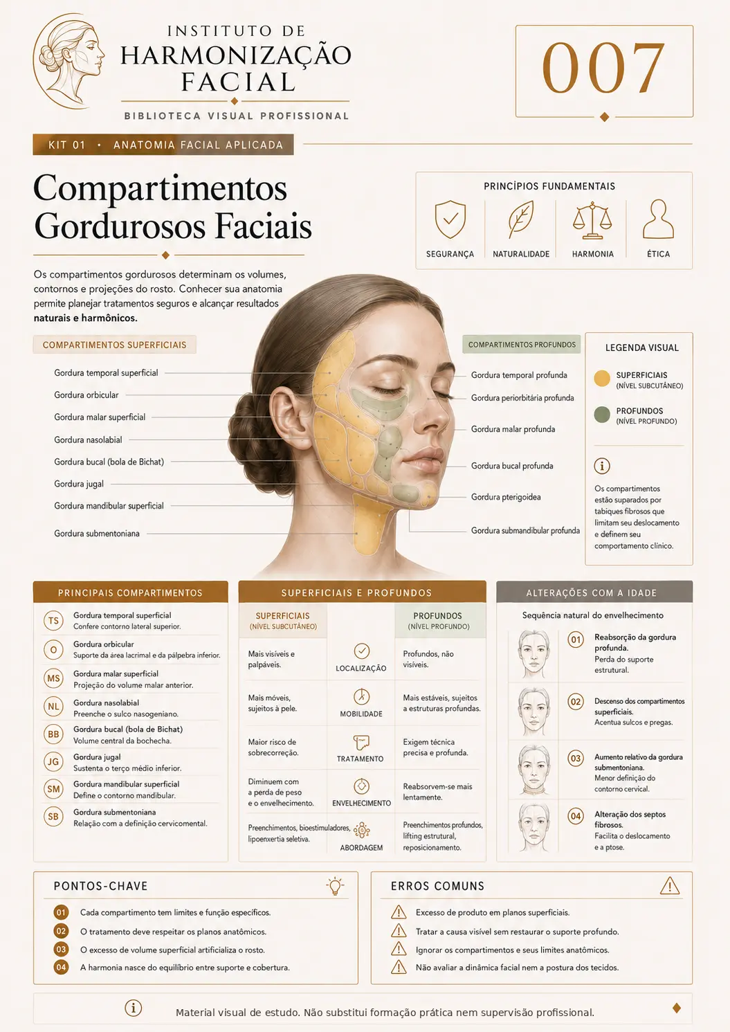 Mapa visual de estudo: Compartimentos gordurosos faciais