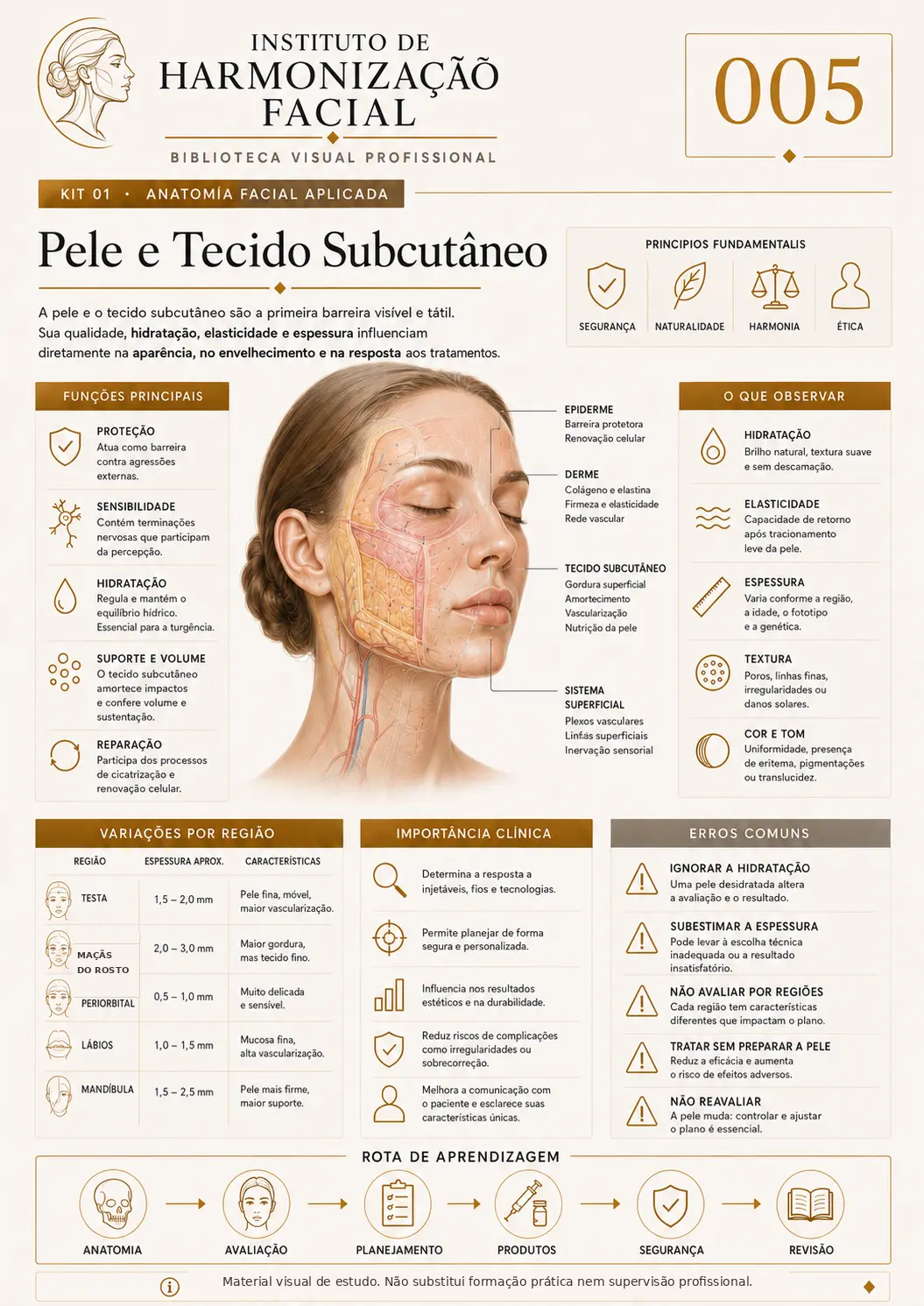 Mapa visual de estudo: Pele e tecido subcutâneo