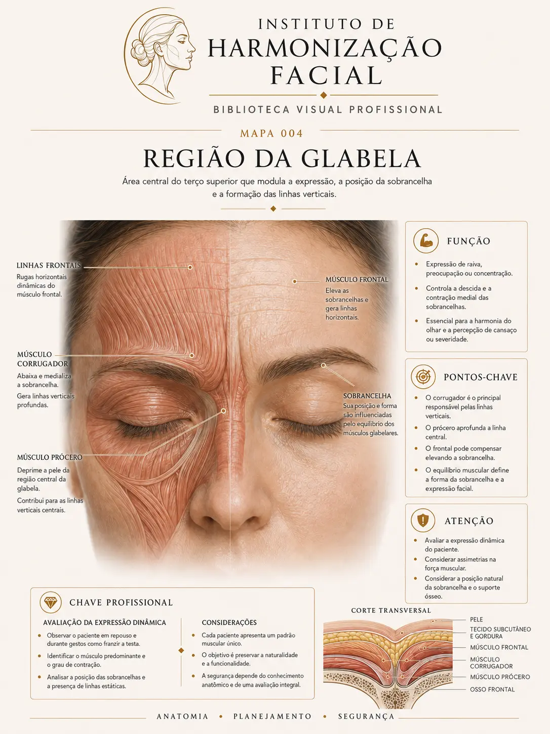 Mapa visual de harmonização facial: Região da glabela