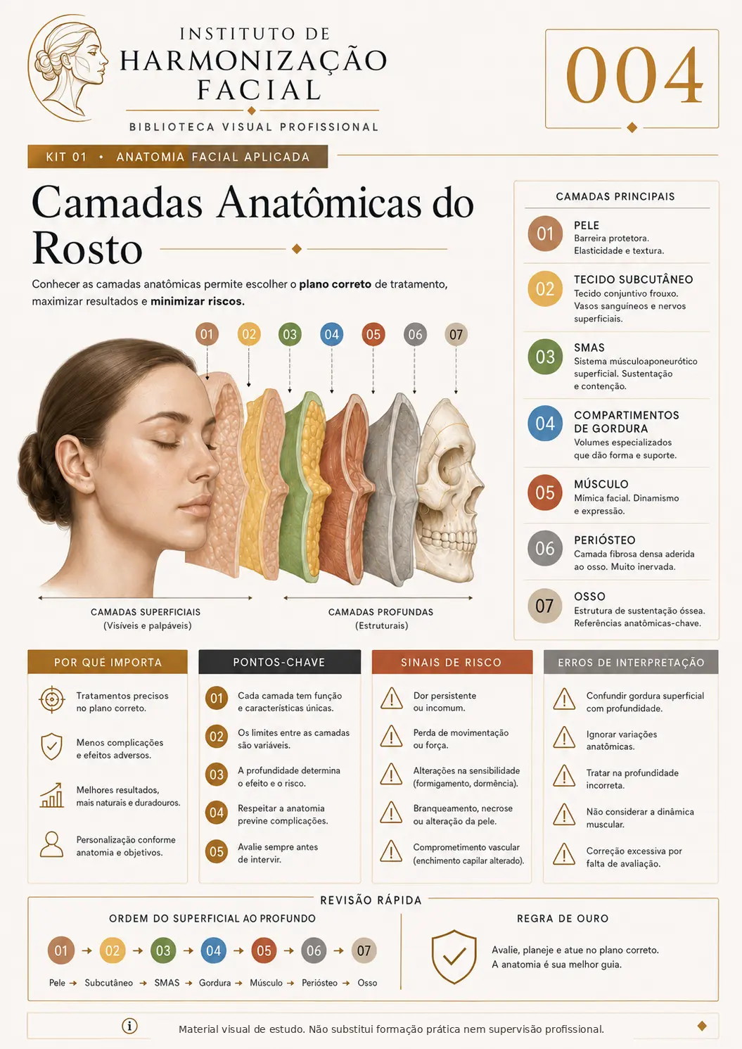 Mapa visual de estudo: Camadas anatômicas do rosto